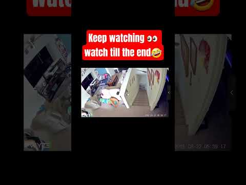 #viralvideo #funny #cats #sonic #animals #zoomies #viral