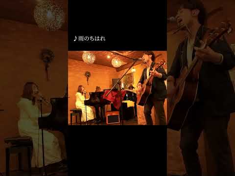 森と林ライブダイジェスト(2025.03.16@柏Cafe Line)