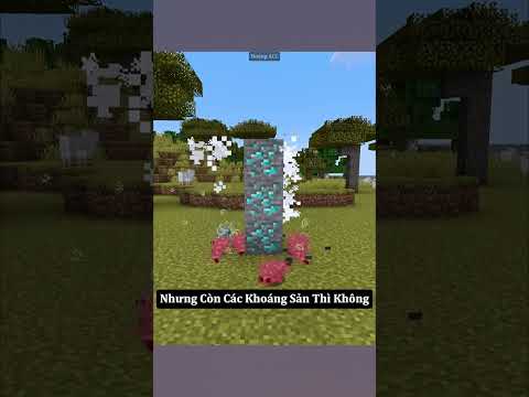 Tác Dụng Thật Sự Của Cá Bạc Trong Minecraft 🤣 #shorts