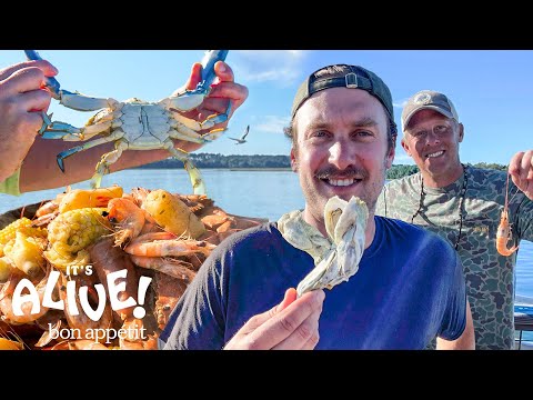 Brad Goes Crabbing & Shrimping For A Low Country Boil | It's Alive | Bon Appétit