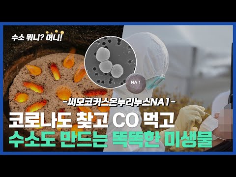 [���ҹ���?�Ӵ�!]�ڷγ� ��¦��! �ϻ�ȭź�ҵ� �԰�, �ڷγ��� ��Ƴ��� �̻����� �ִ�?