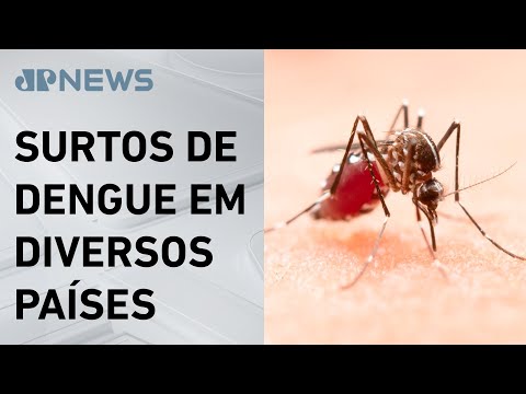 Organização Pan-Americana da Saúde alerta para dengue tipo 3 nas Américas