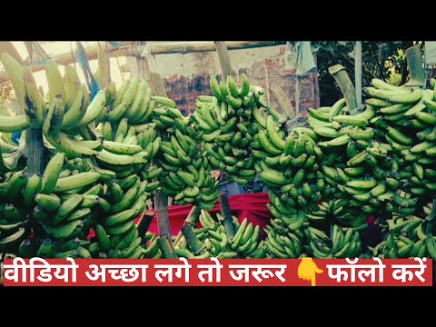 #video_भवानीपुर चौक | केला का घोर कितना सस्ता है🥱 | devshankar Kumar #vlogs 