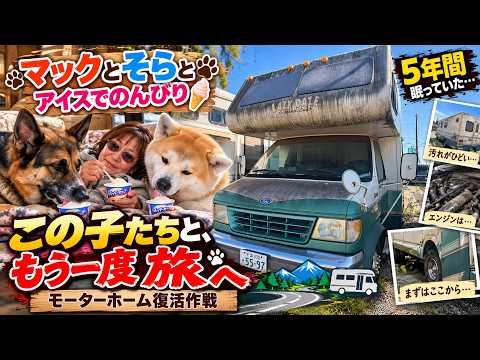 5年間眠っていた愛車…もう一度、犬たちと旅に出たい【モーターホーム復活作戦】