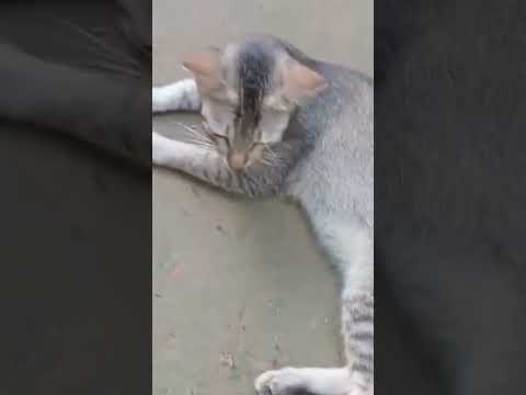 আল্লাহ সত্যি আছেন,Abu taha Muhammad adnan mutivetonal waz#allah#abu_toha_muhammad_adnan#shorts