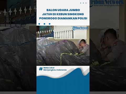 Balon Udara Jumbo Jatuh di Kebun Singkong Ponorogo, Polisi Turun Tangan