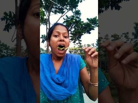 Sausages in Various Countries #asmr #mukbang #eatsuitemoji #learnlangu #shorts #326