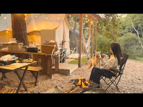 初めてのソロキャンプ｜寒い日に猫と温まる１人暮らしの休日 Living Alone in Japan VLOG