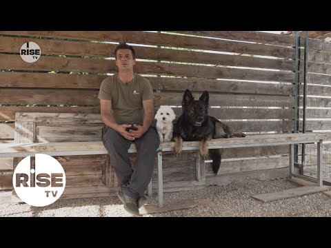 DogsWAP: Ένα σύγχρονο ψυχαγωγικό πάρκο για να εκπαιδεύσεις το σκύλο σου | RISE TV