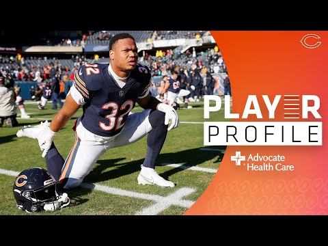 David Montgomery | Player Profile | Chicago Bears video clip