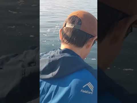 RCCラジオ 軽マーケットプレゼンツ 釣りラジオ番外編～僕たち、釣れない釣り名人