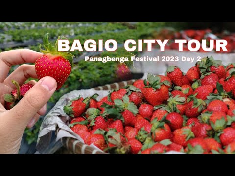 BAGUIO TOUR 2023 DAY 2/2 (Horseback Riding + Bee Farm)