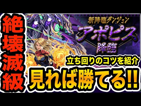 ソロ最適性！最新絶壊滅級「アポピス降臨」をキャプテン翼パーティーで超安定攻略！！！【パズドラ】
