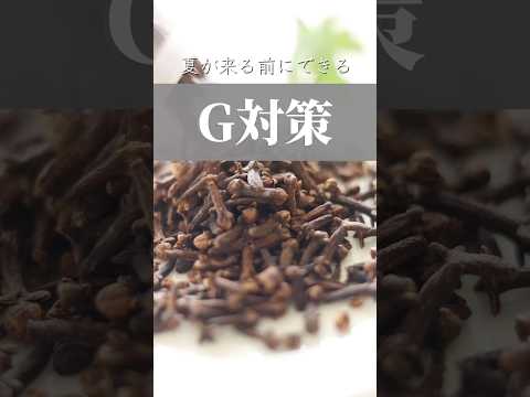 【Gに効くスパイスとは？！】#shorts