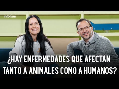 Enfermedades de transmisión de animales a humanos | Data Animal
