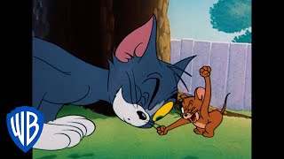 Tom a Jerry - Rivalita staletí
