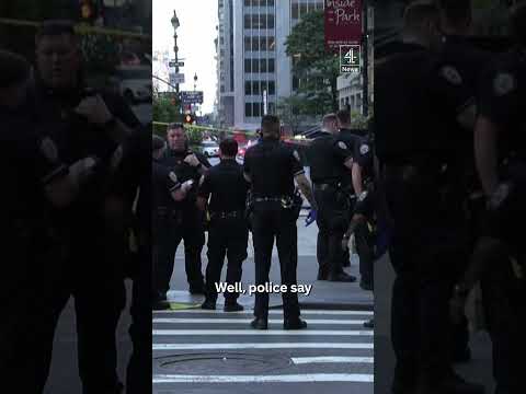 How did NYC shooter carry out the attack?