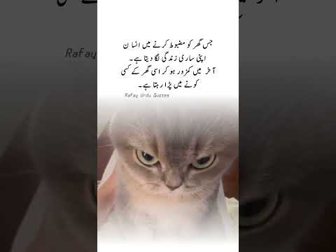 Quotes about life Motivation _ Thought #shorts #viral #poetry