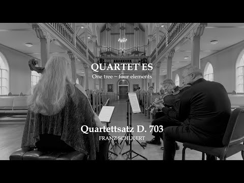 Quartet made from same maple tree @hansjohannsson1