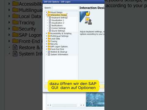 SAP Systemnamen im SAP GUI Fenster anzeigen #sap #tipps