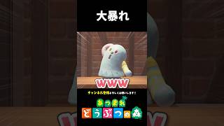 【あつ森】残像が見えるほど暴れるハニワ