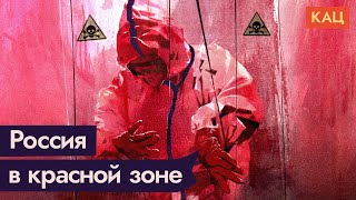 Личное: Эффективна ли массовая вакцинация? Результаты исследований / @Максим Кац