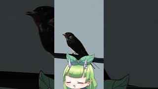 ツバメちゃんが今年もやってきました！