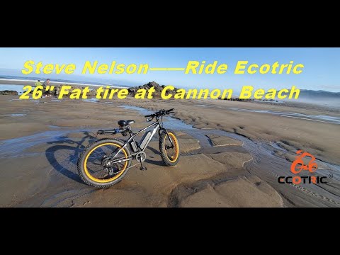 Ride Ecotric 26