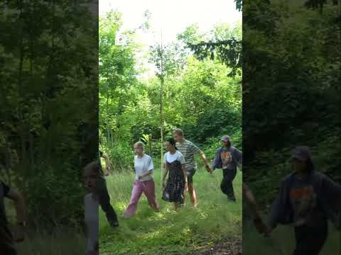 THE SCHOOL FOR MAGICAL ANIMALS 4 / Filming / Release on October 2, 2025