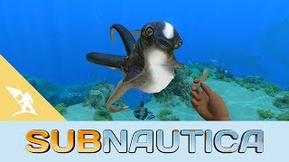 Subnautica - Cuddlefish Update