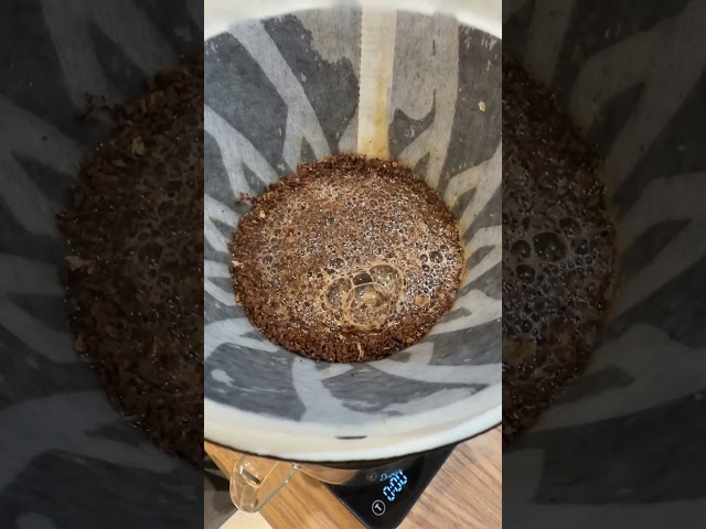 我的新咖啡箱測試 - 營火部落