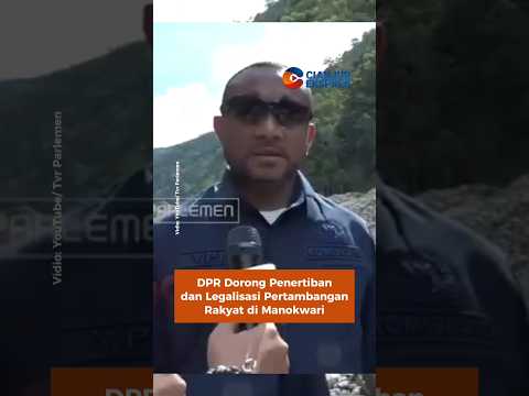 DPR Dorong Penertiban dan Legalisasi Pertambangan Rakyat di Manokwari #dprri #shorts #pertambangan