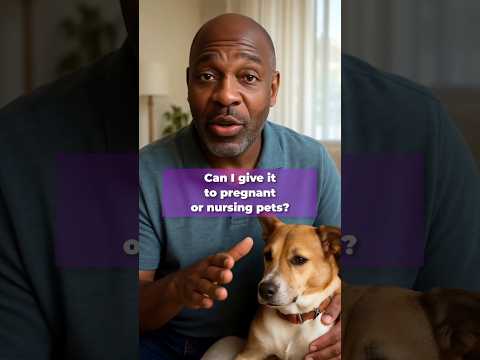 Curious Pet Parents? We’ve Got Answers! 🐾 #dogcare #pets #faq #puppy