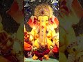 వజ్ర వైడూర్య రత్న మణి మాణిక్యాల తో గణేశుడికి అలంకరణ | V6 News  - 01:39 min - News - Video
