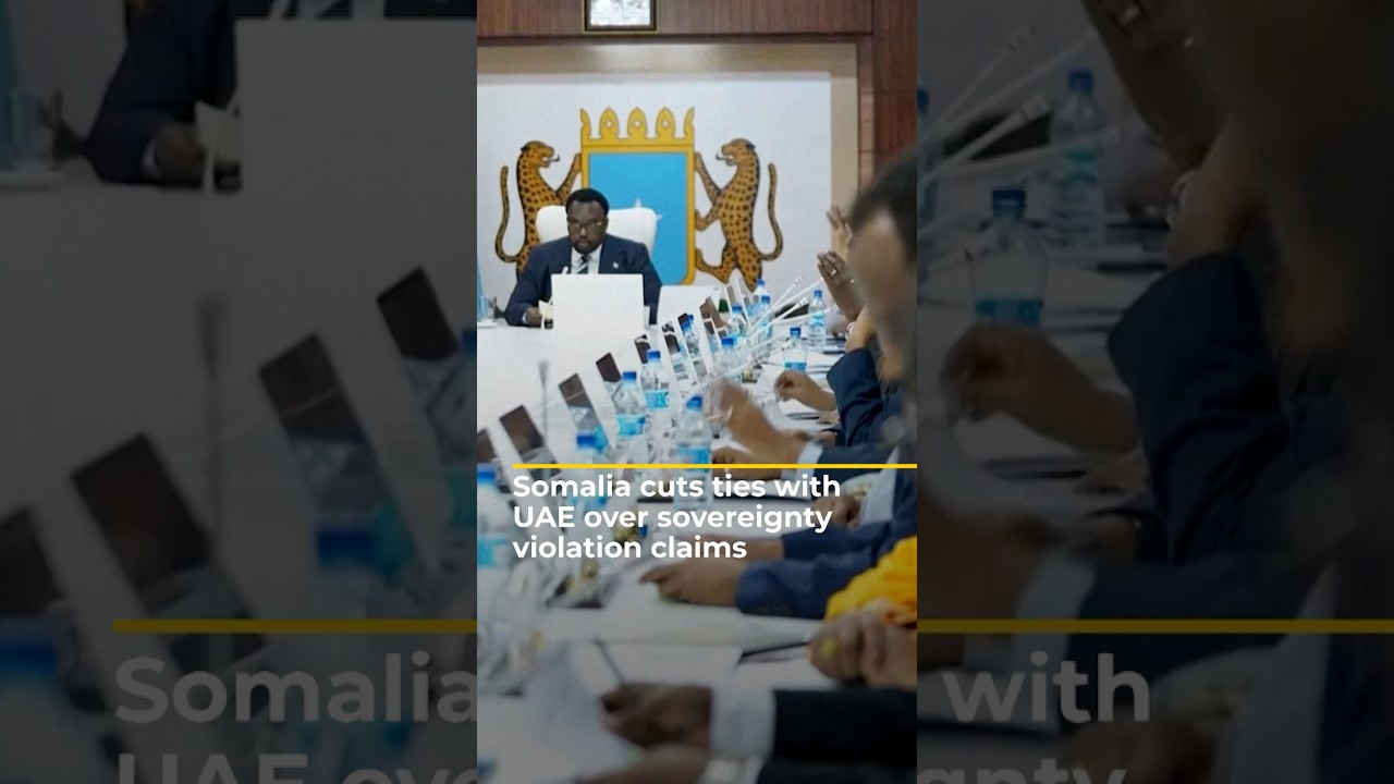 Somalia cuts ties with UAE over sovereignty violation claims | AJ shorts