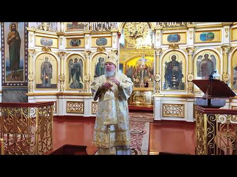 Слово на Евангелие о гадаринских бесноватых - митрополит Николай