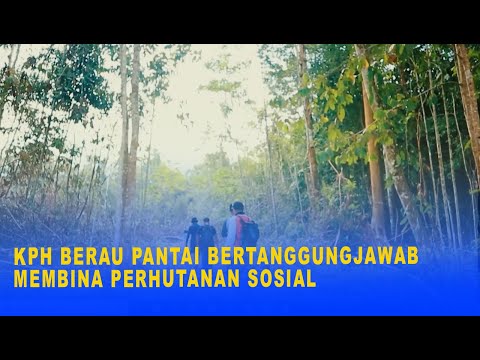 KPH BERAU PANTAI BERTANGGUNGJAWAB MEMBINA PERHUTANAN SOSIAL