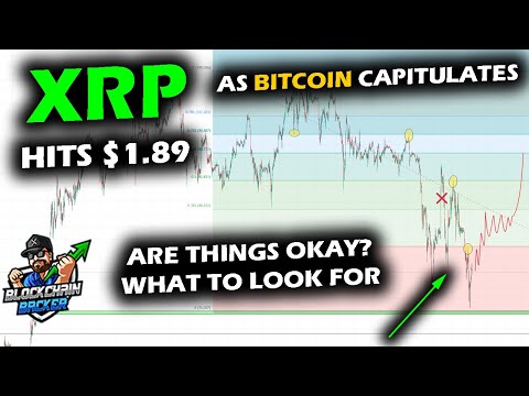 decoding-xrp-and-bitcoin-price-trends-amid-market-turbulence