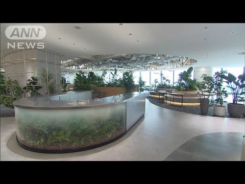 ニュースの動画サムネイル - 新たなベイスポット「ブルーフロント芝浦」今秋開業(2025年6月12日)