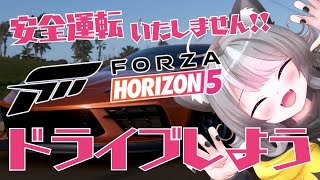 【Forza Horizon 5】参加型 メキシコを駆け抜けろ！悲鳴が鳴り響くドライブ配信【VTuber 晩景緋音】53