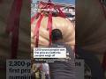 2,300-pound pumpkin wins first prize at a California pumpkin weigh-off