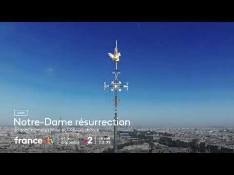 De herrijzenis van de Notre Dame'