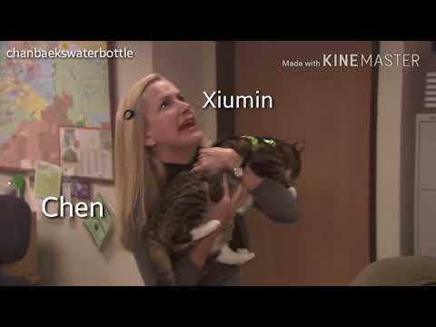EXO (as) VINES