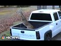 Watch: Leaping deer slams into truck just prior to sale