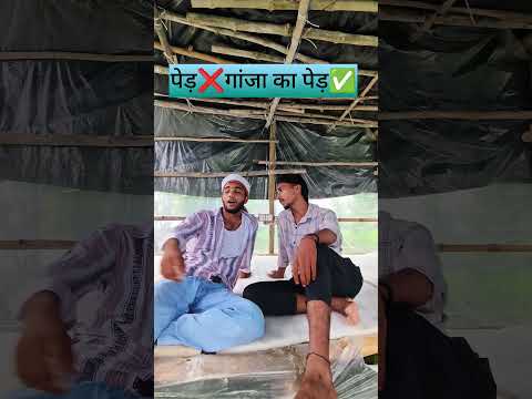 पेड़ ❌ गांजा का पेड़ ✅