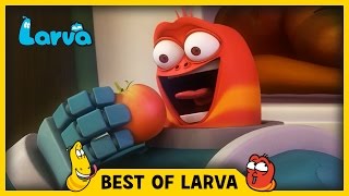 To nejlepší z Larvy