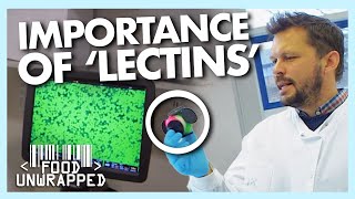 What are Lectins are they Good to be in our Food? | Food Unwrapped