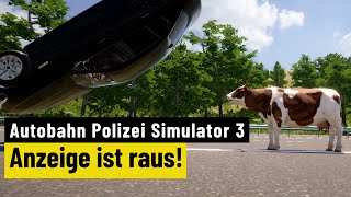 Vido-Test : Autobahn Polizei Simulator 3 | REVIEW | Verkehrsunfall: The Video Game