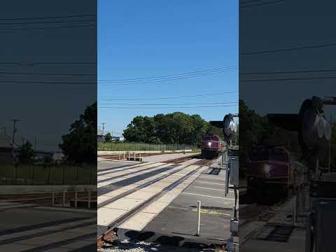 MBTA 1054 gives a crossing sequence before pulling the cape flyer into hyannis!