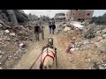 Donkey tour shows destruction in Gazas Khan Younis